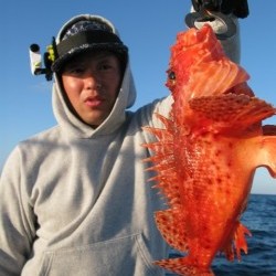 Aquanaut(アクアノート) 釣果