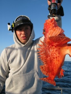 Aquanaut(アクアノート) 釣果