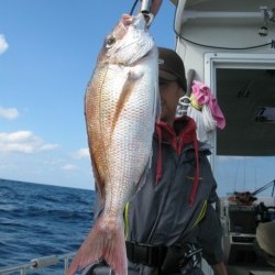 Aquanaut（アクアノート） 釣果