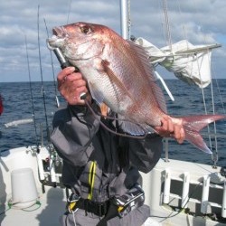 Aquanaut（アクアノート） 釣果