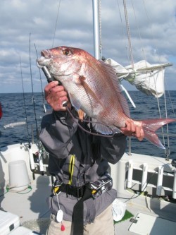 Aquanaut（アクアノート） 釣果