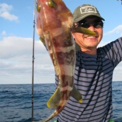 Aquanaut（アクアノート） 釣果