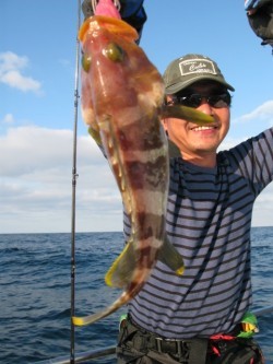 Aquanaut（アクアノート） 釣果