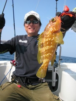 Aquanaut（アクアノート） 釣果