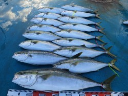 アジアマリンサービス 釣果