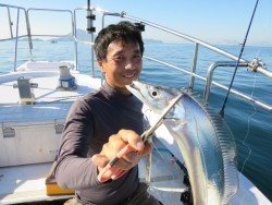 アジアマリンサービス 釣果