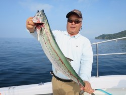 アジアマリンサービス 釣果