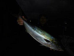 ハピネスⅡ 釣果