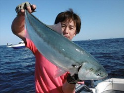 ハピネスⅡ 釣果