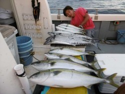 ハピネスⅡ 釣果