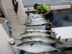 ハピネスⅡ 釣果