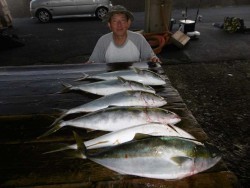 ハピネスⅡ 釣果