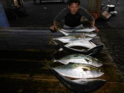 ハピネスⅡ 釣果