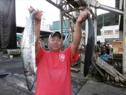 ハピネスⅡ 釣果