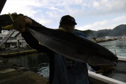 ハピネスⅡ 釣果