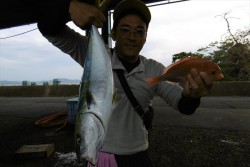 ハピネスⅡ 釣果