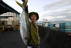 ハピネスⅡ 釣果