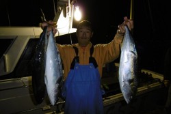 ハピネスⅡ 釣果