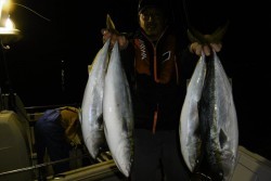 ハピネスⅡ 釣果