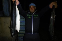 ハピネスⅡ 釣果