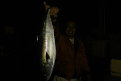 ハピネスⅡ 釣果