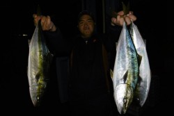 ハピネスⅡ 釣果