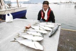 ハピネスⅡ 釣果