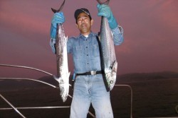 ハピネスⅡ 釣果