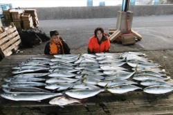 ハピネスⅡ 釣果