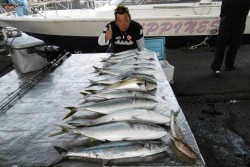 ハピネスⅡ 釣果