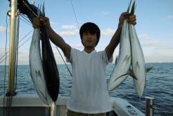 ハピネスⅡ 釣果