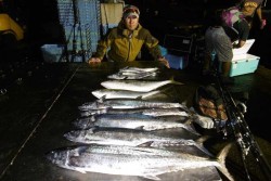 ハピネスⅡ 釣果