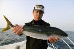 ハピネスⅡ 釣果