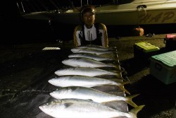 ハピネスⅡ 釣果