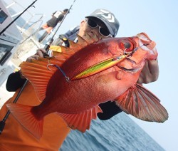 IZANAGI　イザナギ 釣果