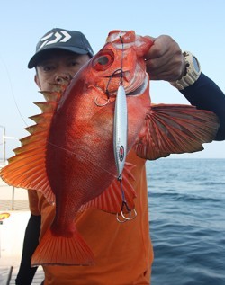 IZANAGI　イザナギ 釣果