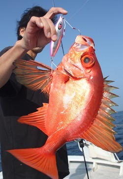 IZANAGI　イザナギ 釣果