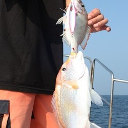 IZANAGI　イザナギ 釣果