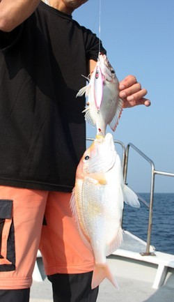 IZANAGI　イザナギ 釣果