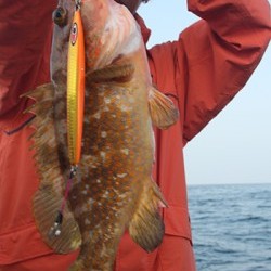 IZANAGI　イザナギ 釣果