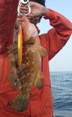 IZANAGI　イザナギ 釣果