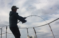 IZANAGI　イザナギ 釣果