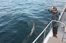 IZANAGI　イザナギ 釣果