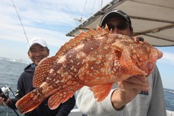 IZANAGI　イザナギ 釣果