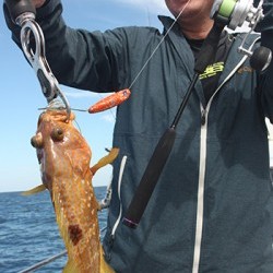 IZANAGI　イザナギ 釣果