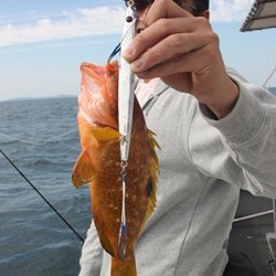 IZANAGI　イザナギ 釣果