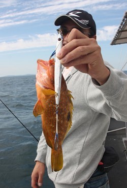 IZANAGI　イザナギ 釣果