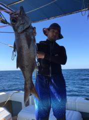 かいもん丸 釣果