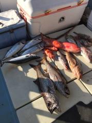 かいもん丸 釣果