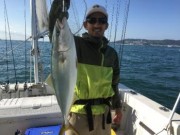 シーマジカル 釣果